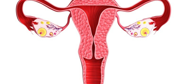 Ectopic Pregnancy — Signs and Symptoms