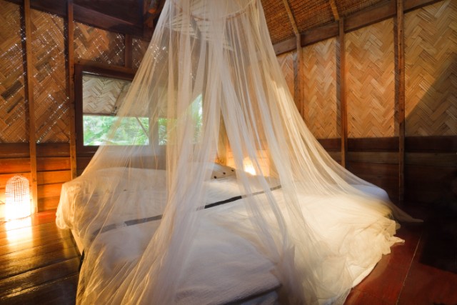 mosquito net over bed
