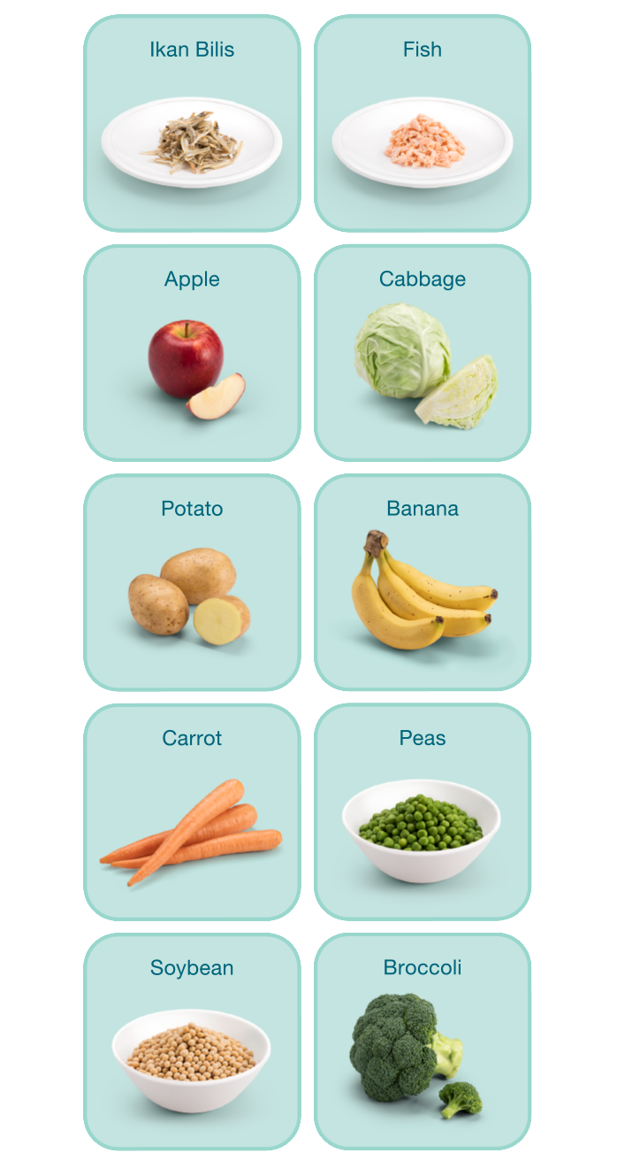 Examples of your baby’s first solid foods