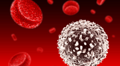 blood_white_bloodcell.jpg