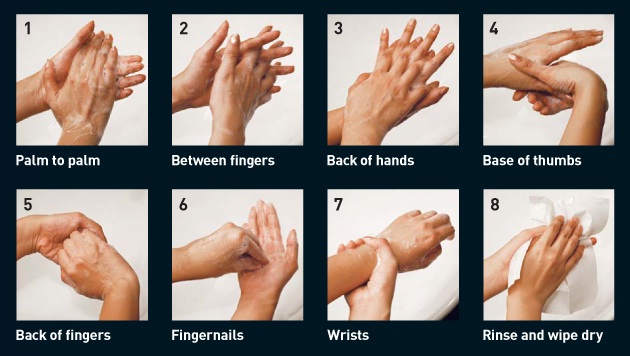 8 Steps of handwashing (image)