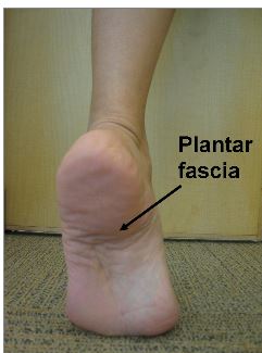 Relieve heel pain plantar on sale fasciitis