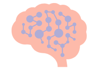 Brain chemical imbalances