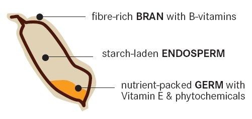 A cross-section view of a wholegrain.