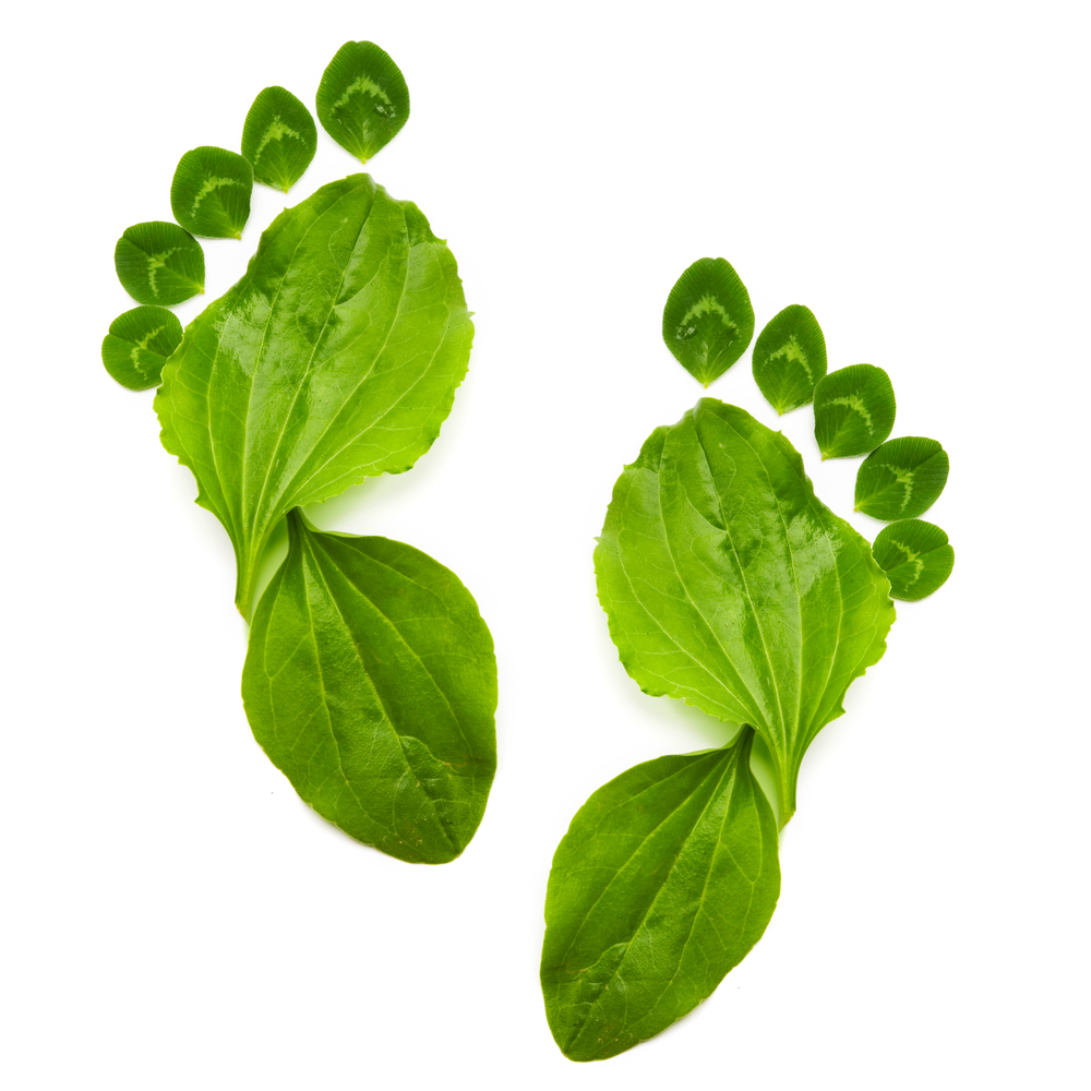 shutterstock_93472849.jpg