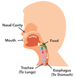 Swallowing_P1_abnormalSwallowing.png