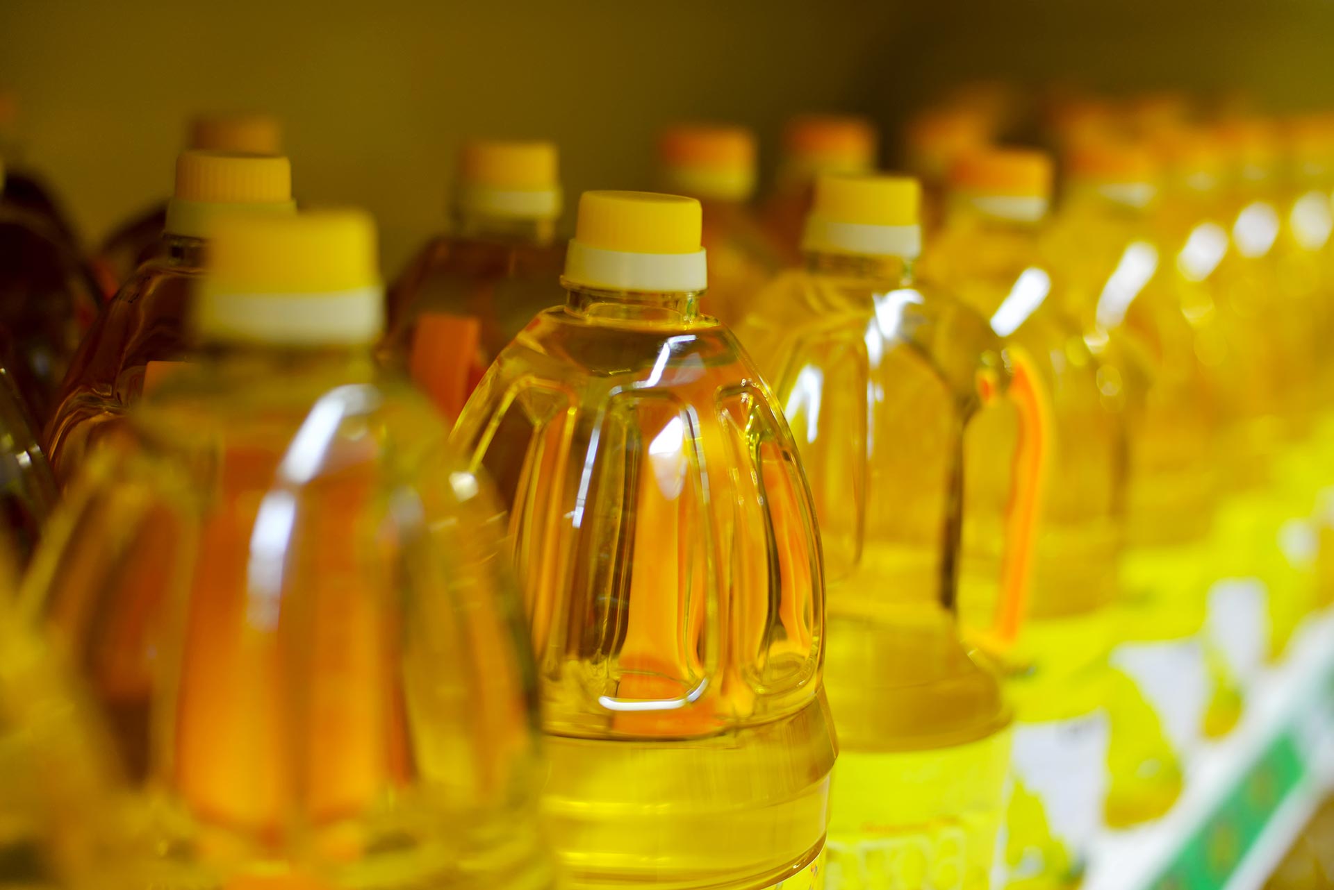 Canola Oil, Olive Oil, Soybean Oil - How to choose Cooking Oil?