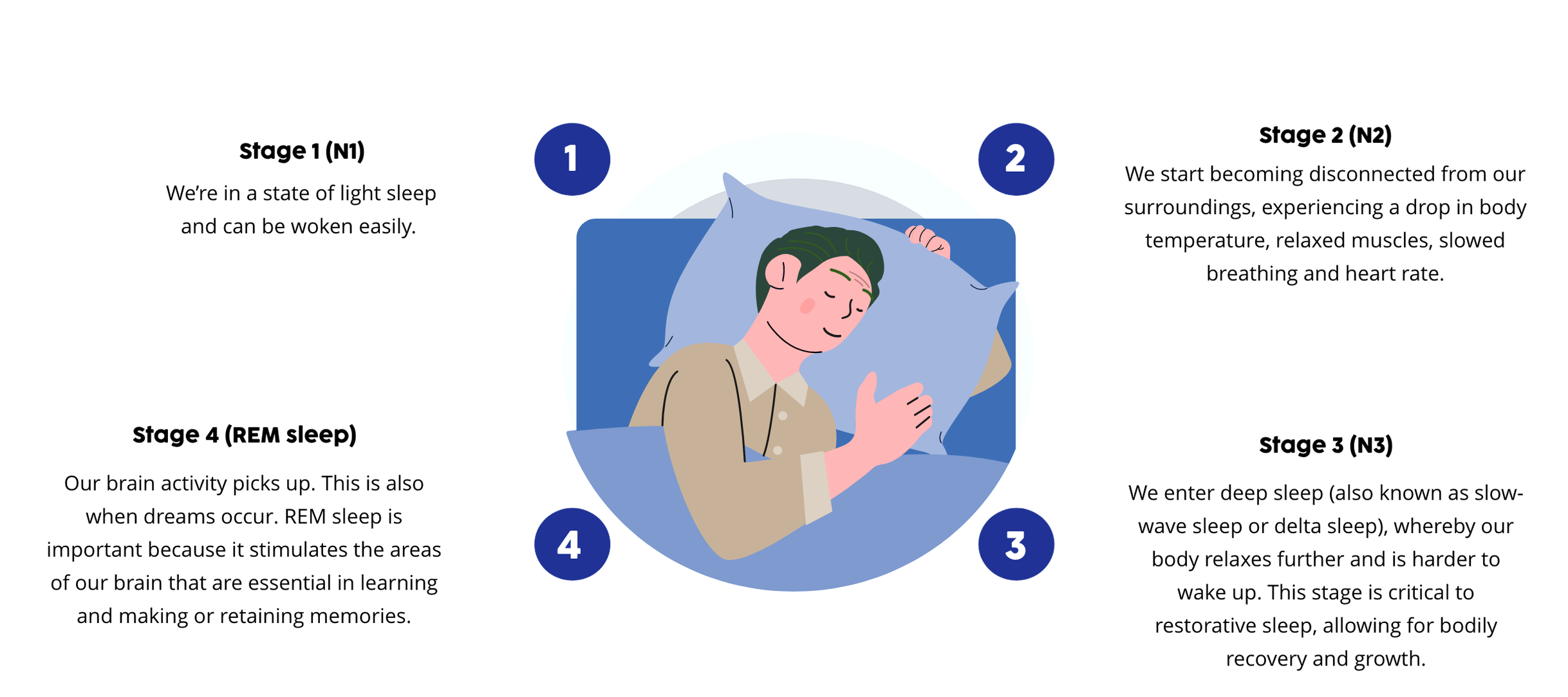 What happens when we sleep?