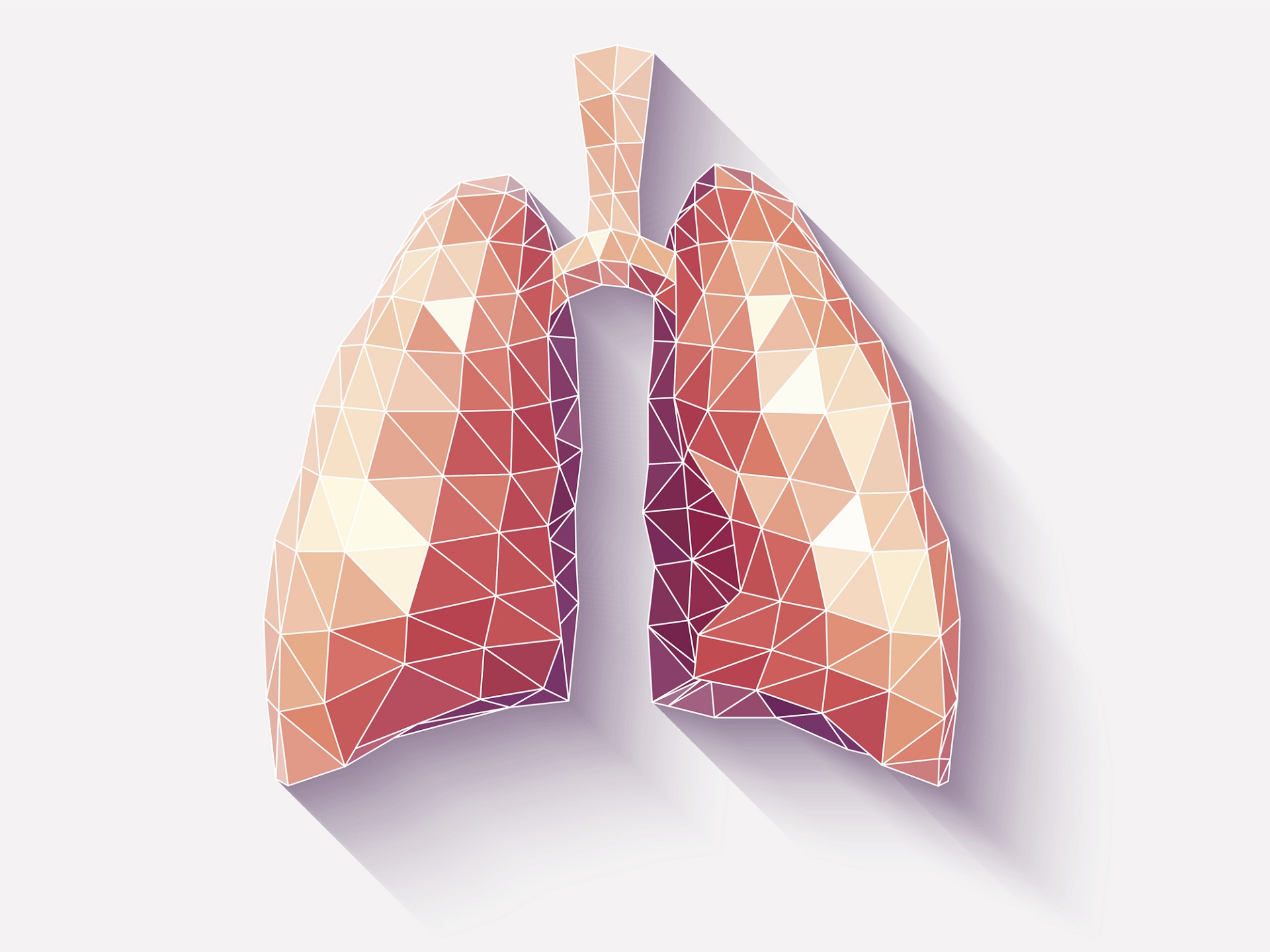 iStock-lung.jpg