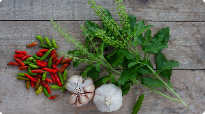 Healthy Herbs and Spices for Cooking