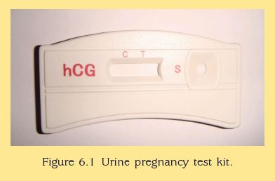 Home Use Urine HCG Early Pregnancy Test Kits Cassette - China HCG Test Kit  Images, HCG Count Test Kit