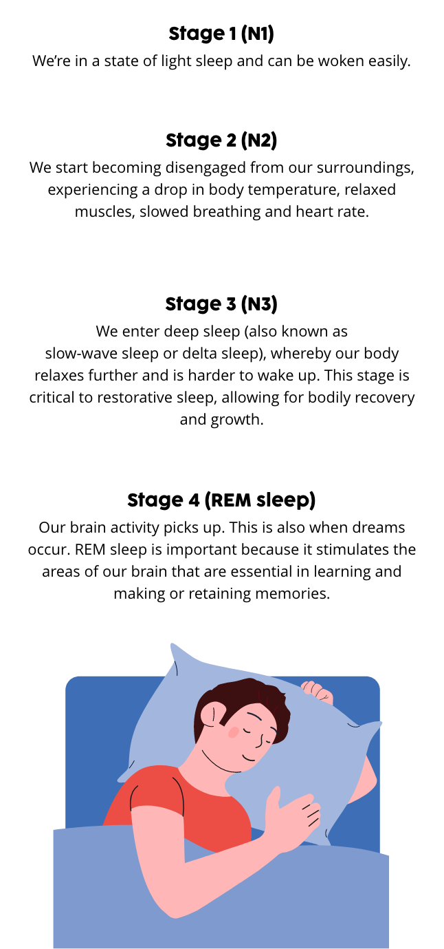 What happens when we sleep?