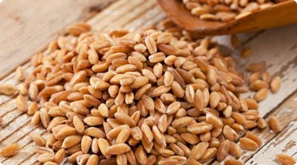 Tips on cooking wholegrains