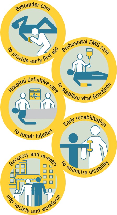 Trauma Chain of Survival.jfif