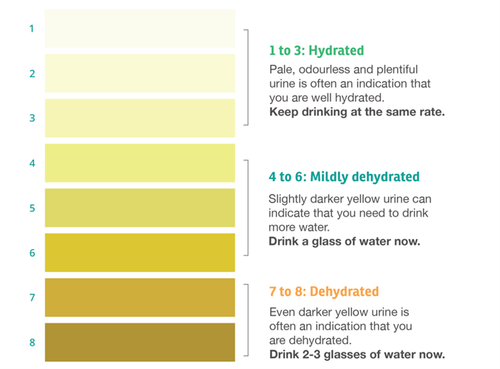 Dehydration_ urinechart.png