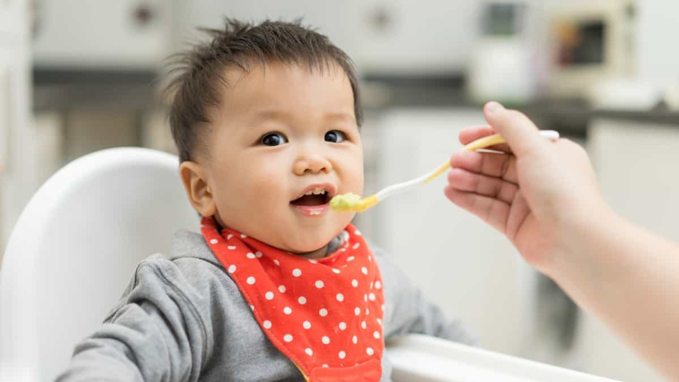 Early Childhood Nutrition