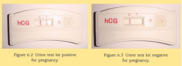 Home Use Urine HCG Early Pregnancy Test Kits Cassette - China HCG Test Kit  Images, HCG Count Test Kit