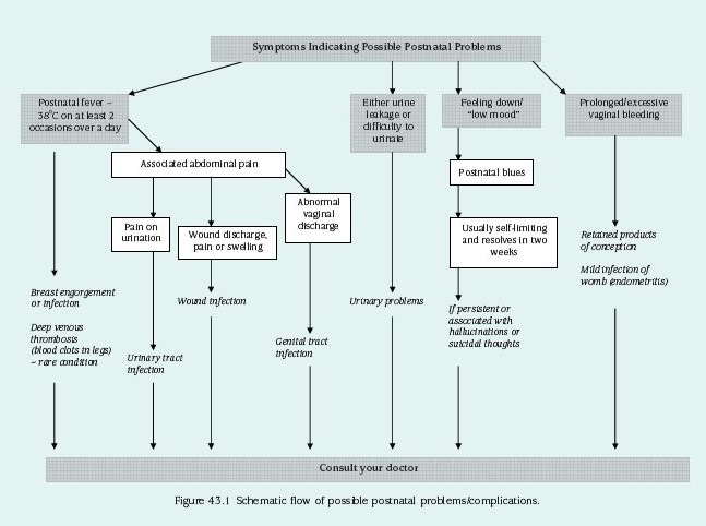 Postpartum Fever and Other Signs of Complications