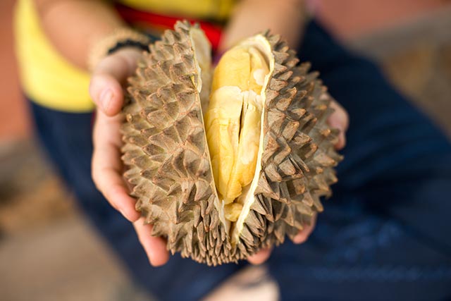 Resilience protects us from harsh environments just like how the durian shell protects the fruit within.