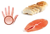 Ensure that you consume 1 palm-sized protein in your diet.