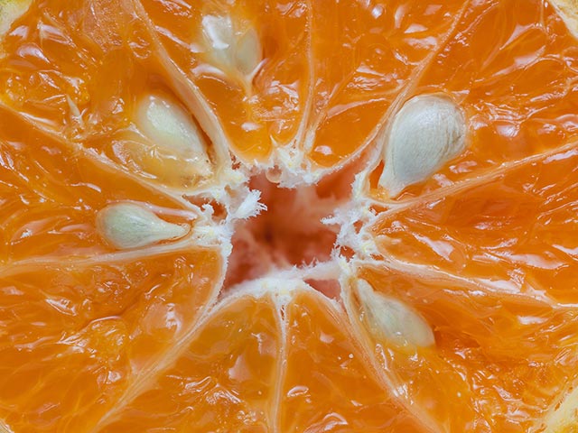 close up of an orange seed