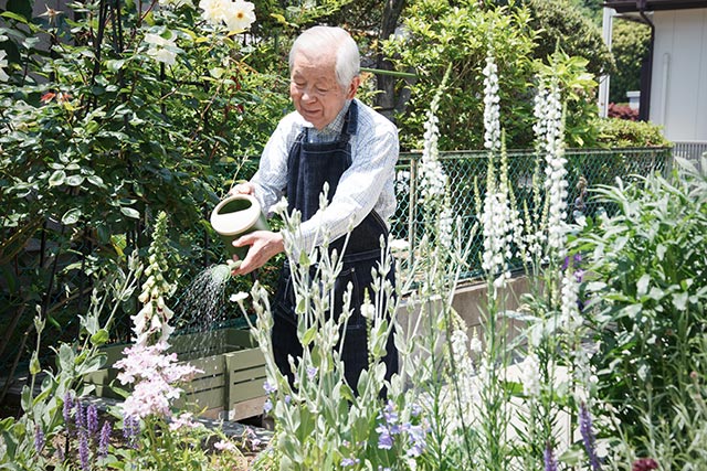 Gardening is a suitable physical activity in seniors