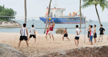 Getting High on Team Sports