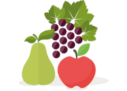 Fruit and vegetables