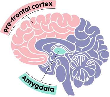 Understanding our emotions