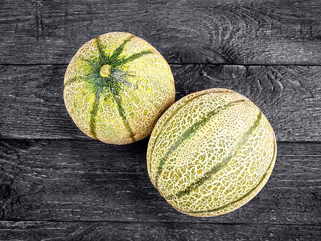 two winter melons next to each other