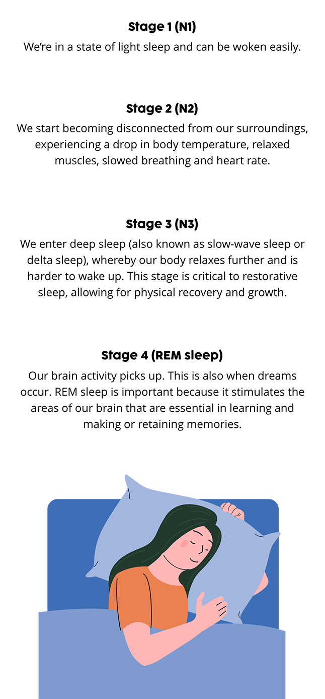 What happens when we sleep?