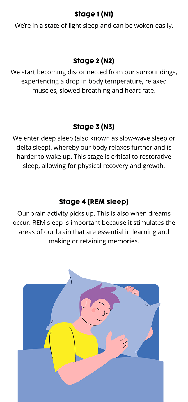 What happens when we sleep?