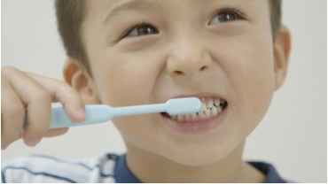The Youth Preventive Dental Service has a range of services to help your child maintain good oral health.