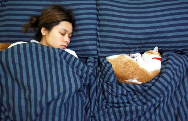 woman sleeping in bed with her cat