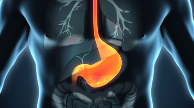 iStock-gastro.jpg