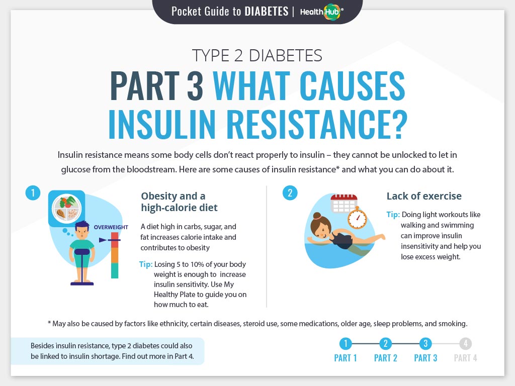 What Causes Insulin Resistance?
