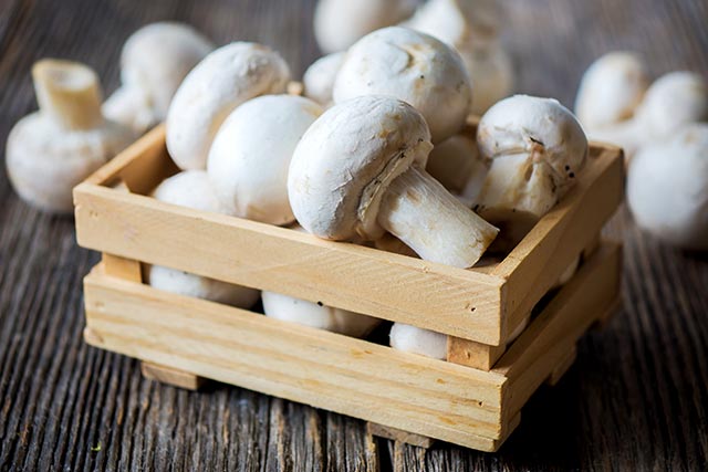 Fresh White Button Mushrooms