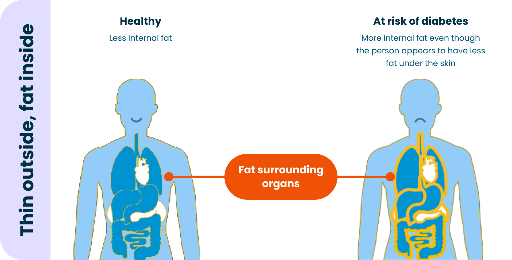 Thin outside, fat inside