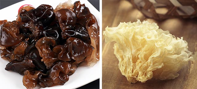 Black Fungus and Snow Fungus