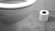 toilet-roll-toilet
