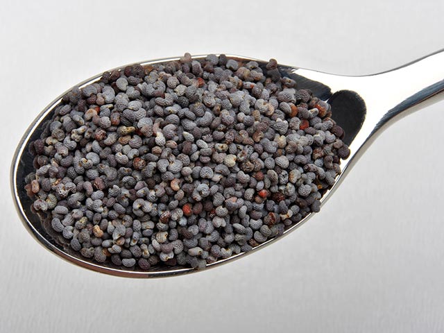 a spoon filled with little black eggs