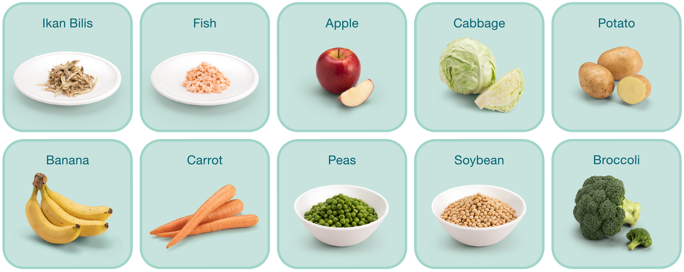 Examples of your baby’s first solid foods