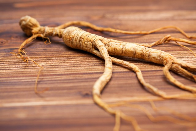 chinese ginseng