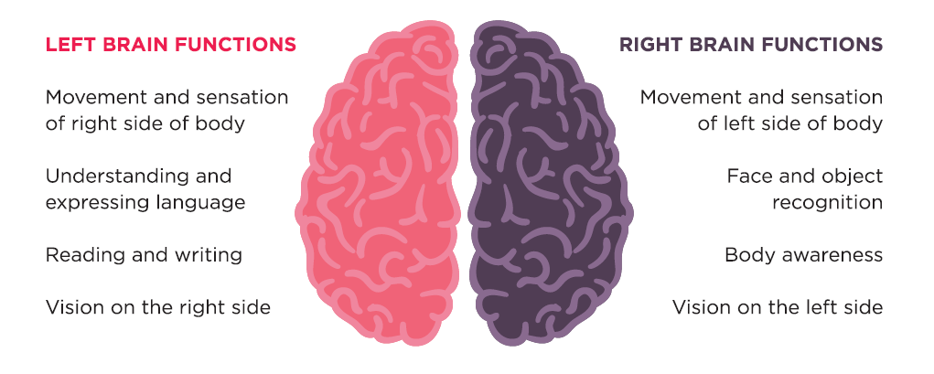 Right brain stroke affects the left side of the body and left brain stroke affects the right side of the body.