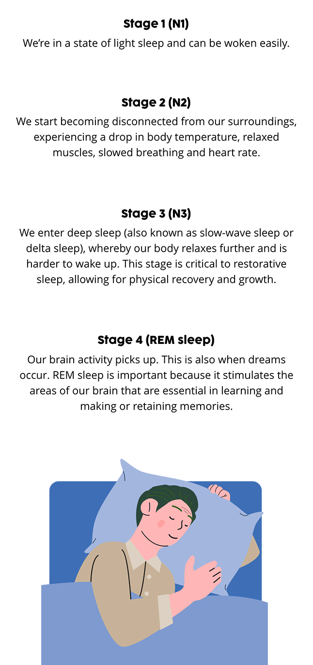 What happens when we sleep?