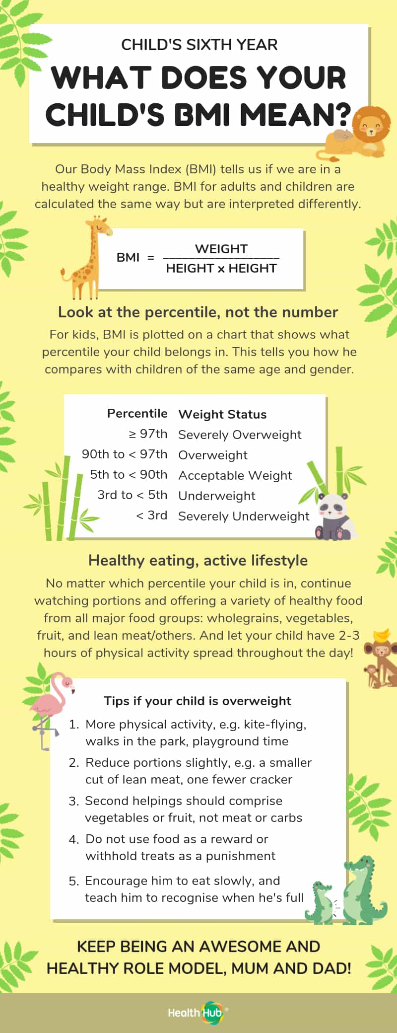 BMI Guide