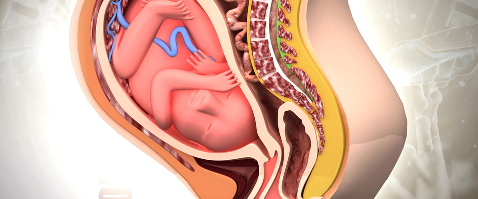 Labor induction: How healthcare providers induce labor