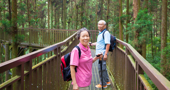 Southern Ridges is one of the places to hike in Singapore