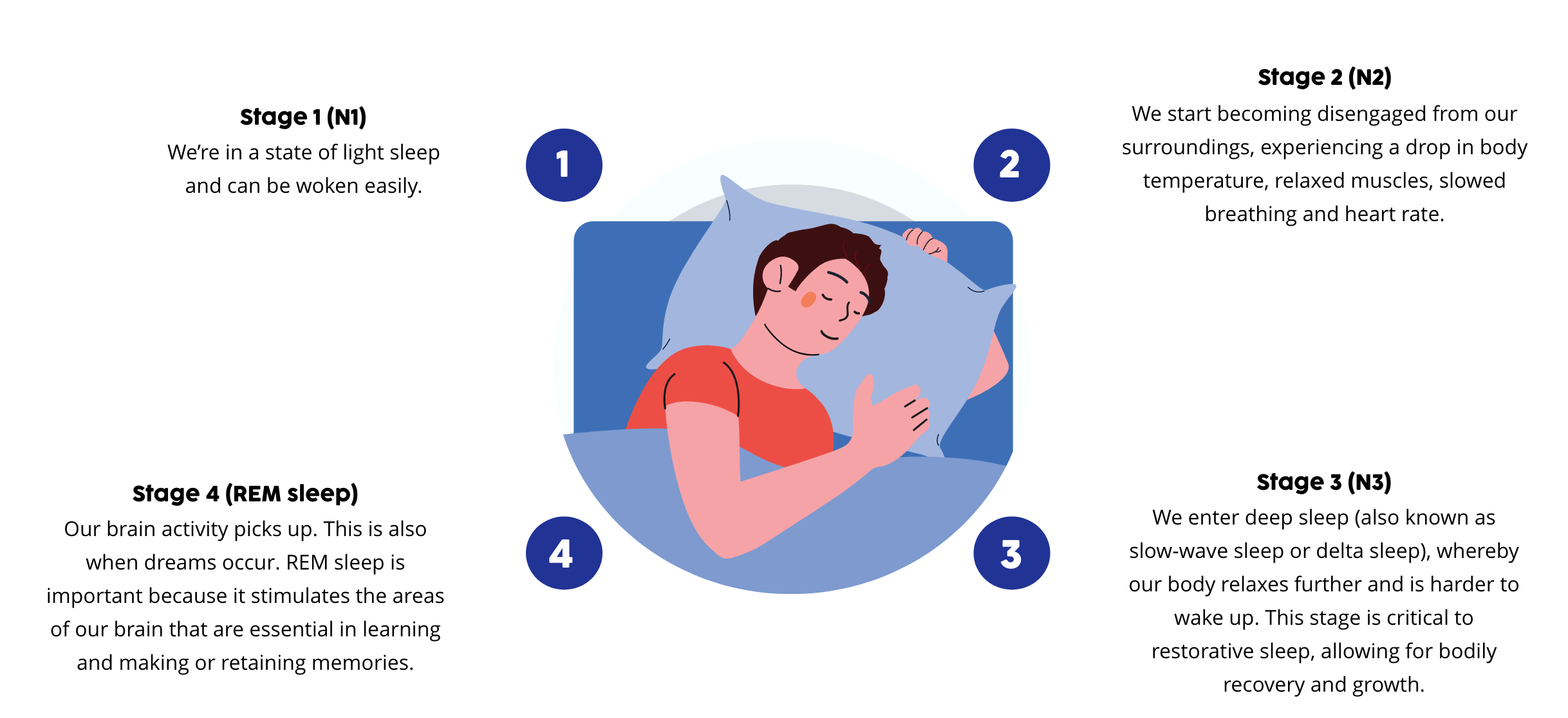 What happens when we sleep?