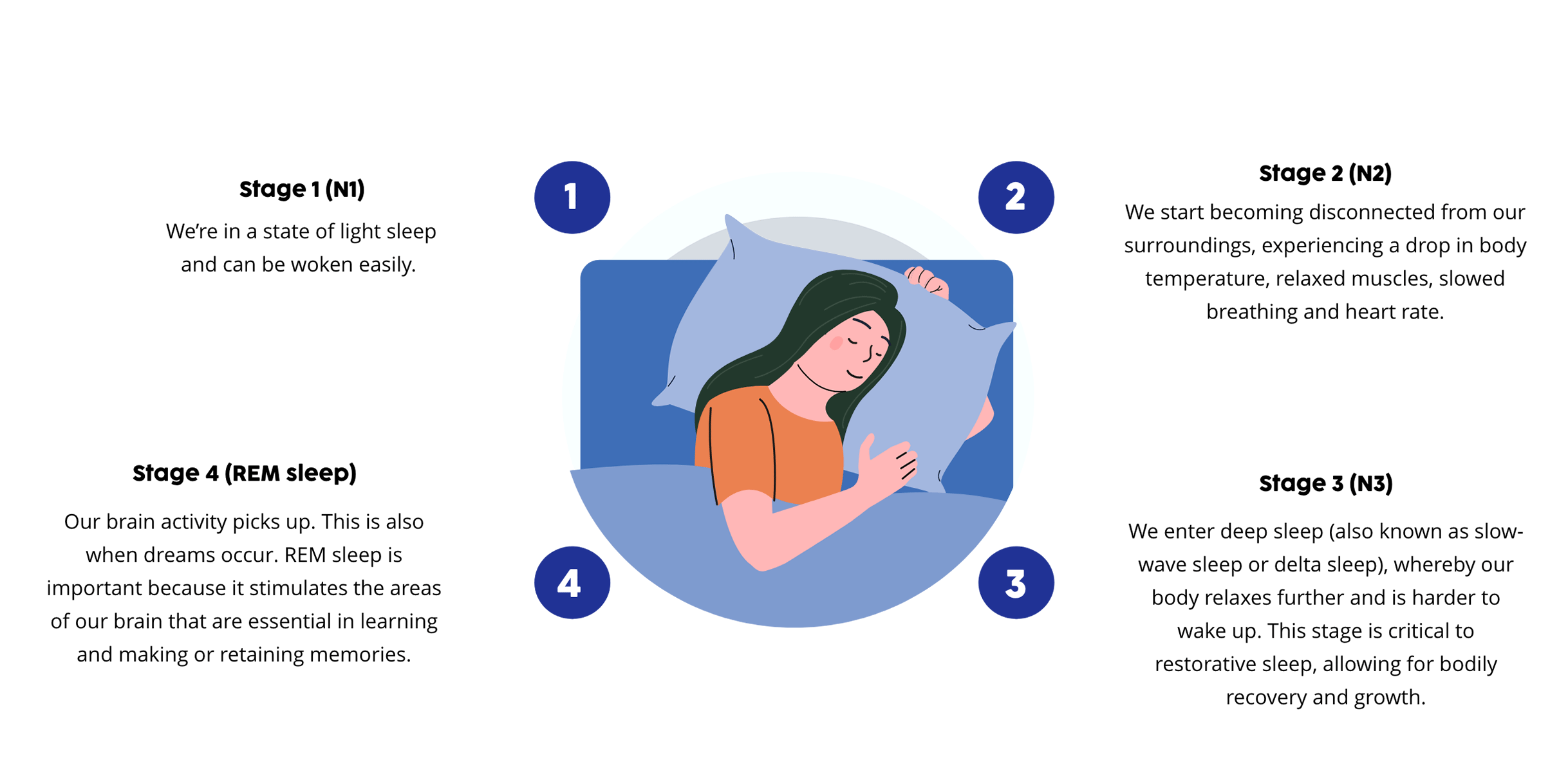 What happens when we sleep?